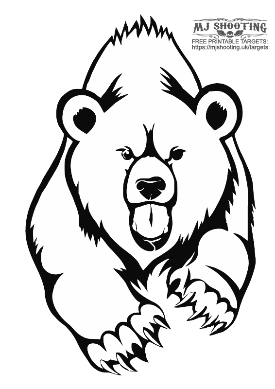 Bear 2