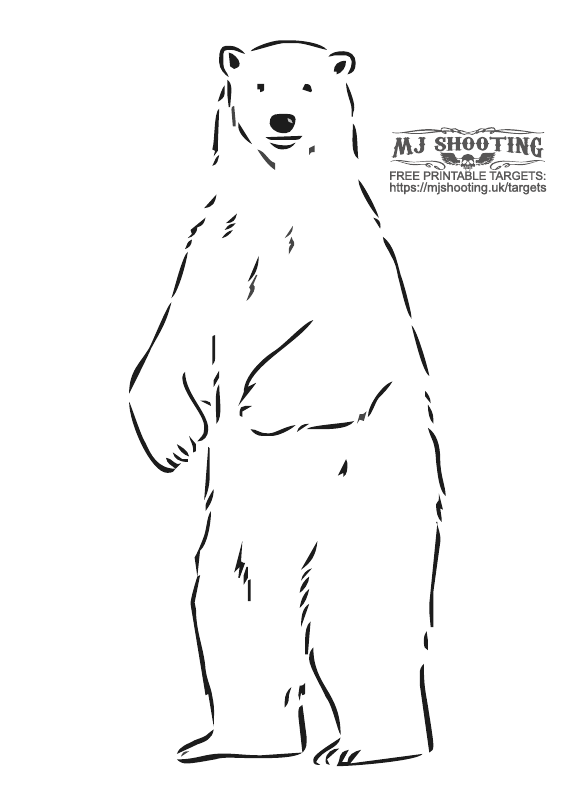 Bear 3