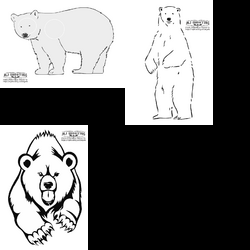 Bears