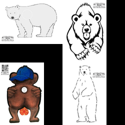 Bears