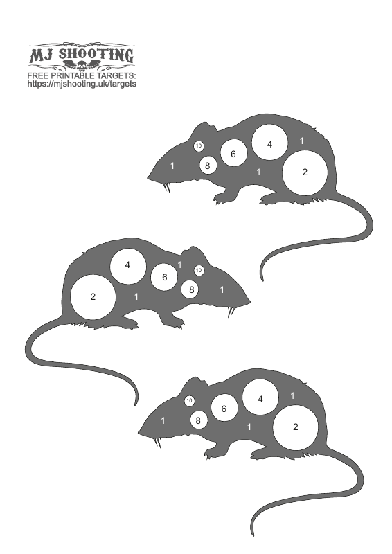 Rats