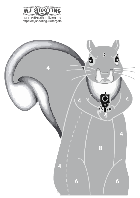 Squirrel2